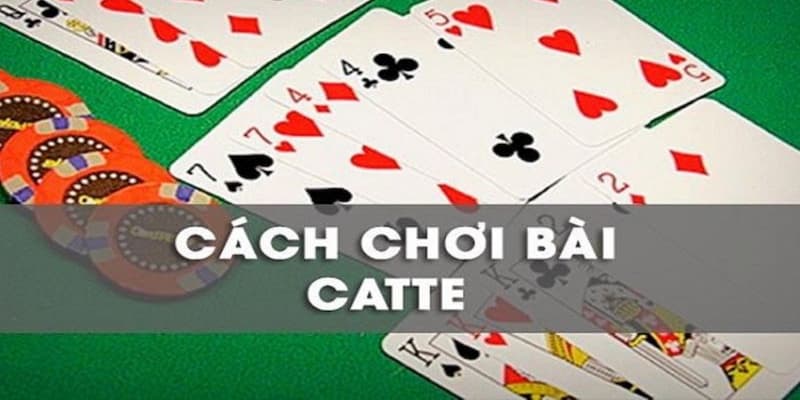 Bật mí cách chơi Catte chi tiết cho các tân thủ